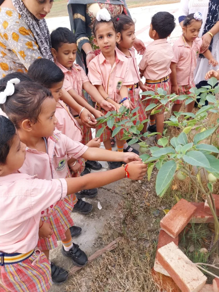 Randhawa Meritorious School — Save Tree1